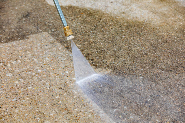 Best Sidewalk and Walkway Cleaning  in Harper Woods, MI